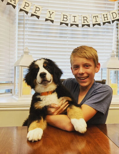 Happy Boy Holding Bernese Mountain Dog Puppy