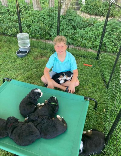 Happy Boy Holding a Bernese Mountain Dog Puppy Sleeping